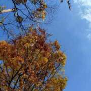 ヒメ日記 2025/11/25 18:56 投稿 瑞穂 あかり 30代40代50代と遊ぶなら博多人妻専科24時