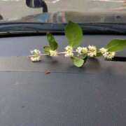 ヒメ日記 2025/12/03 16:01 投稿 瑞穂 あかり 30代40代50代と遊ぶなら博多人妻専科24時