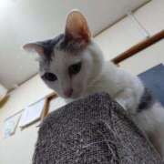 ヒメ日記 2025/12/06 13:01 投稿 瑞穂 あかり 30代40代50代と遊ぶなら博多人妻専科24時