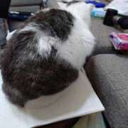 ヒメ日記 2025/12/14 12:23 投稿 瑞穂 あかり 30代40代50代と遊ぶなら博多人妻専科24時