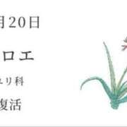ヒメ日記 2025/12/20 10:18 投稿 瑞穂 あかり 30代40代50代と遊ぶなら博多人妻専科24時