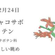 ヒメ日記 2025/12/24 09:24 投稿 瑞穂 あかり 30代40代50代と遊ぶなら博多人妻専科24時