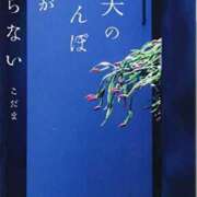 ヒメ日記 2025/12/29 13:39 投稿 瑞穂 あかり 30代40代50代と遊ぶなら博多人妻専科24時