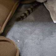 ヒメ日記 2026/01/22 21:44 投稿 瑞穂 あかり 30代40代50代と遊ぶなら博多人妻専科24時