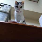 ヒメ日記 2026/02/02 12:21 投稿 瑞穂 あかり 30代40代50代と遊ぶなら博多人妻専科24時