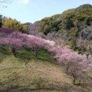 ヒメ日記 2026/02/20 12:49 投稿 瑞穂 あかり 30代40代50代と遊ぶなら博多人妻専科24時
