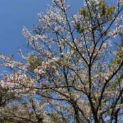 ヒメ日記 2026/04/05 15:52 投稿 瑞穂 あかり 30代40代50代と遊ぶなら博多人妻専科24時