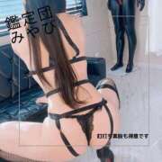 ヒメ日記 2024/12/20 07:16 投稿 みやび 変態なんでも鑑定団