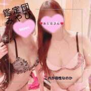 ヒメ日記 2025/03/22 01:46 投稿 みやび 変態なんでも鑑定団