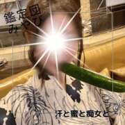 ヒメ日記 2025/08/07 20:16 投稿 みやび 変態なんでも鑑定団