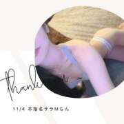 ヒメ日記 2025/11/04 20:16 投稿 みやび 変態なんでも鑑定団