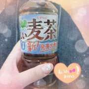 ヒメ日記 2025/03/11 17:30 投稿 りかこ 奥様さくら梅田店