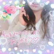 ヒメ日記 2025/04/08 15:15 投稿 りかこ 奥様さくら梅田店