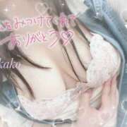 ヒメ日記 2025/07/20 15:05 投稿 りかこ 奥様さくら梅田店