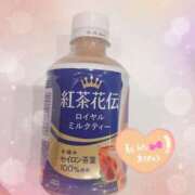 ヒメ日記 2026/02/01 18:45 投稿 りかこ 奥様さくら梅田店