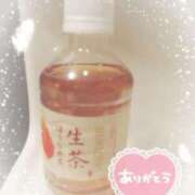 ヒメ日記 2025/04/12 15:45 投稿 なぎさ 奥様さくら梅田店