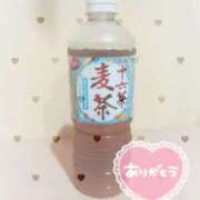 ヒメ日記 2025/05/21 17:35 投稿 なぎさ 奥様さくら梅田店