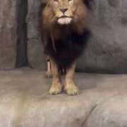 ヒメ日記 2025/06/16 00:50 投稿 さなえ 熟女の風俗最終章 相模原店