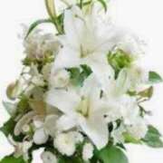 ヒメ日記 2026/02/07 10:15 投稿 さなえ 熟女の風俗最終章 相模原店