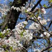 ヒメ日記 2025/04/02 17:41 投稿 さなえ 熟女の風俗最終章 町田店