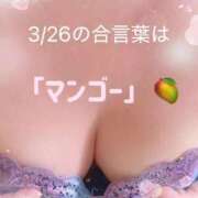 ヒメ日記 2026/03/26 09:10 投稿 さなえ 熟女の風俗最終章 町田店