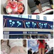 ヒメ日記 2024/12/16 18:24 投稿 桜井美紀 五十路マダムエクスプレス豊橋店（カサブランカグループ）