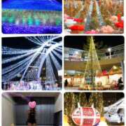 ヒメ日記 2024/12/18 20:38 投稿 桜井美紀 五十路マダムエクスプレス豊橋店（カサブランカグループ）