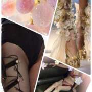 ヒメ日記 2024/12/19 20:22 投稿 桜井美紀 五十路マダムエクスプレス豊橋店（カサブランカグループ）