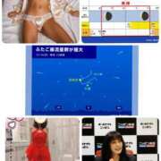 ヒメ日記 2025/12/14 22:44 投稿 桜井美紀 五十路マダムエクスプレス豊橋店（カサブランカグループ）