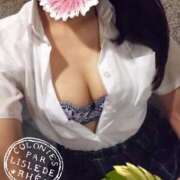 ヒメ日記 2025/03/20 10:28 投稿 ななみ 11チャンネル