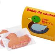 ヒメ日記 2025/04/27 21:57 投稿 奈々(なな) ロケットワイフ