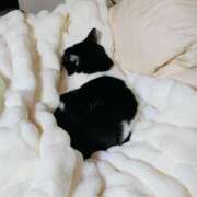 奈々(なな) 爆上がりの続き ロケットワイフ