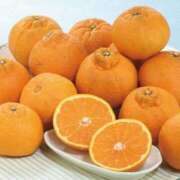 ヒメ日記 2026/02/19 23:50 投稿 奈々(なな) ロケットワイフ