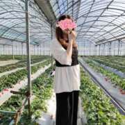 ヒメ日記 2026/03/20 12:06 投稿 奈々(なな) ロケットワイフ