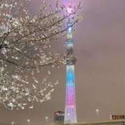 ヒメ日記 2026/03/30 12:03 投稿 奈々(なな) ロケットワイフ