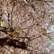 ヒメ日記 2025/03/11 14:21 投稿 いおり AVANCE福岡