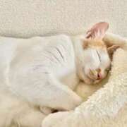 ヒメ日記 2025/08/21 12:50 投稿 いおり AVANCE福岡