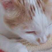 ヒメ日記 2025/08/22 15:54 投稿 いおり AVANCE福岡