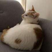 ヒメ日記 2025/12/03 22:37 投稿 いおり AVANCE福岡