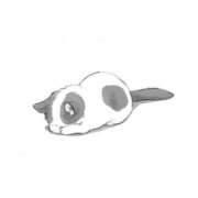 ヒメ日記 2025/12/09 00:45 投稿 いおり AVANCE福岡