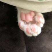 ヒメ日記 2025/12/31 22:19 投稿 いおり AVANCE福岡