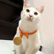 ヒメ日記 2026/01/13 15:20 投稿 いおり AVANCE福岡