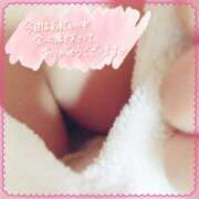 ヒメ日記 2026/03/29 03:42 投稿 いおり AVANCE福岡