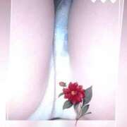 ヒメ日記 2025/04/30 10:43 投稿 ゆうひ 熟女家 京橋店