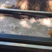 ヒメ日記 2025/05/03 09:52 投稿 若山 変態美熟女お貸しします。