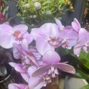 ヒメ日記 2025/02/19 18:17 投稿 架純（カスミ） アバンチュール(五反田)