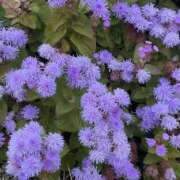 ヒメ日記 2025/09/21 14:46 投稿 架純（カスミ） アバンチュール(五反田)