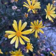 ヒメ日記 2025/10/08 17:01 投稿 架純（カスミ） アバンチュール(五反田)