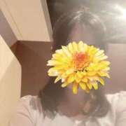 ヒメ日記 2026/01/31 16:46 投稿 架純（カスミ） アバンチュール(五反田)