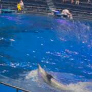 ヒメ日記 2025/04/20 23:31 投稿 司（ツカサ） アバンチュール(五反田)